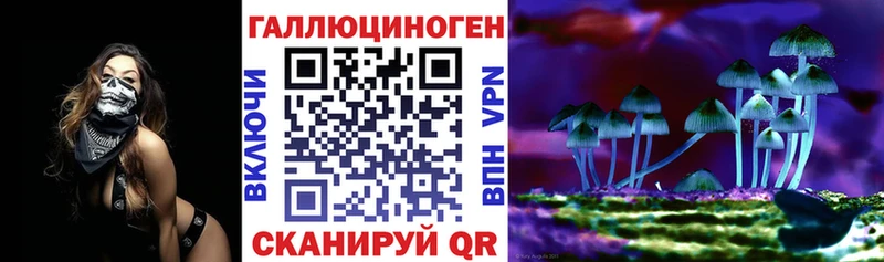 где можно купить наркотик  Ковылкино  Галлюциногенные грибы ЛСД 